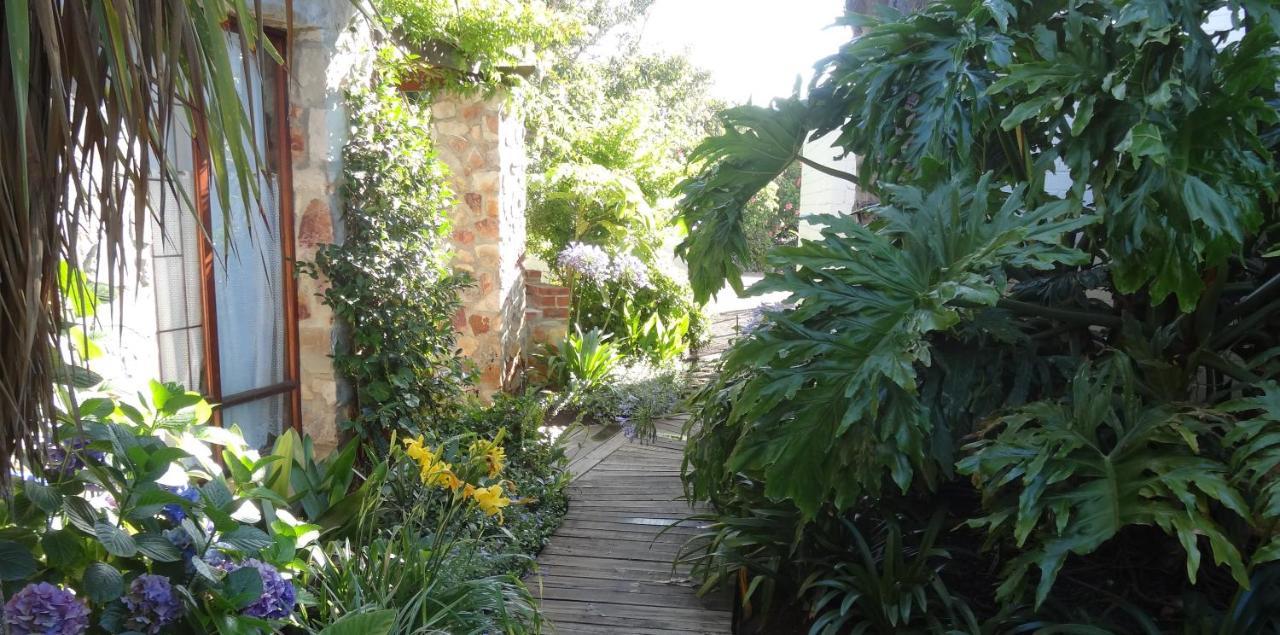 Braeview Guest House Hermanus Luaran gambar