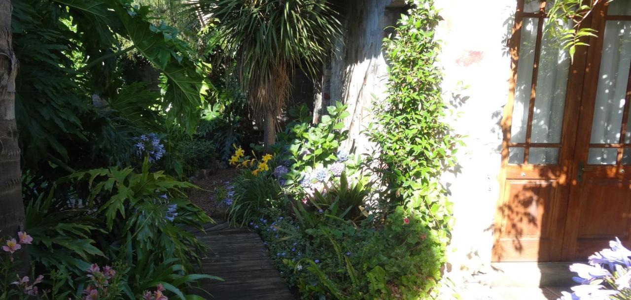 Braeview Guest House Hermanus Luaran gambar